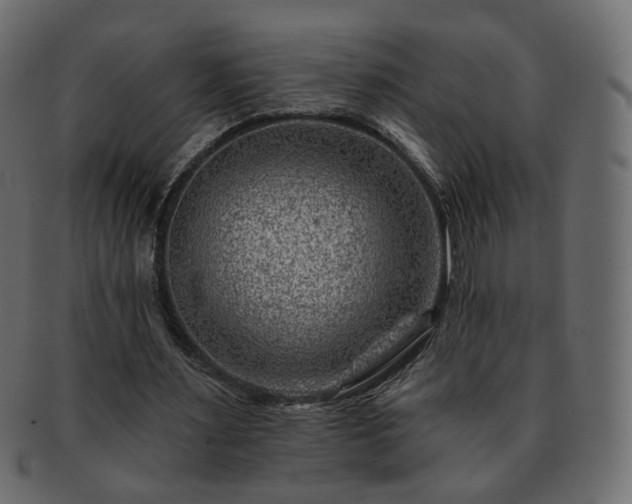 X0000093210483200710031423