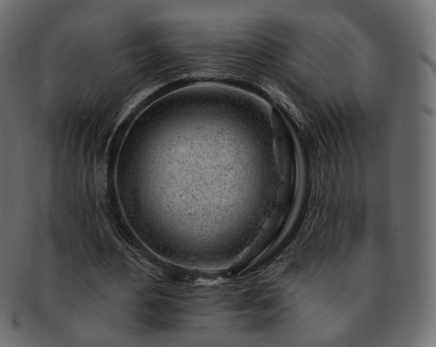 X0000093210484200710031423