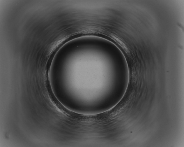 X0000093210485200710031423