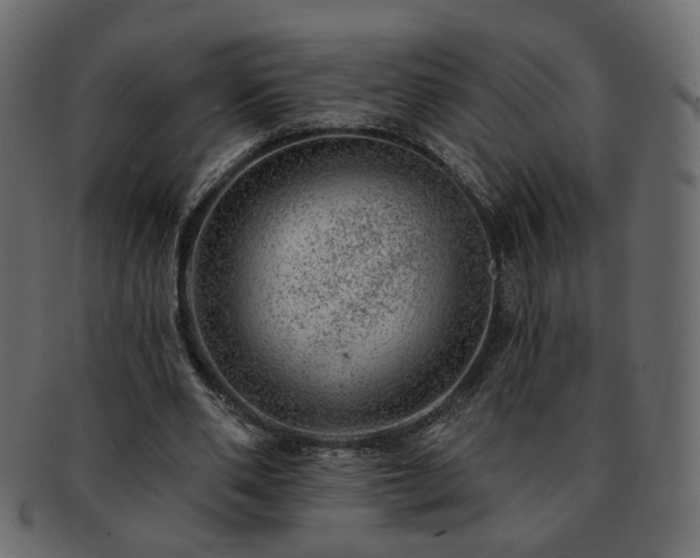 X0000093210486200710031423