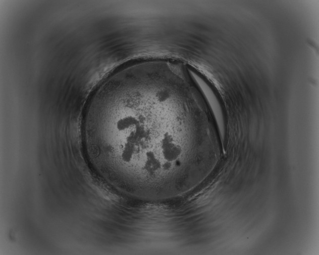 X0000093210487200710031423