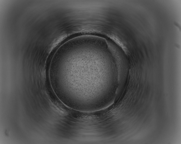 X0000093210488200710031423