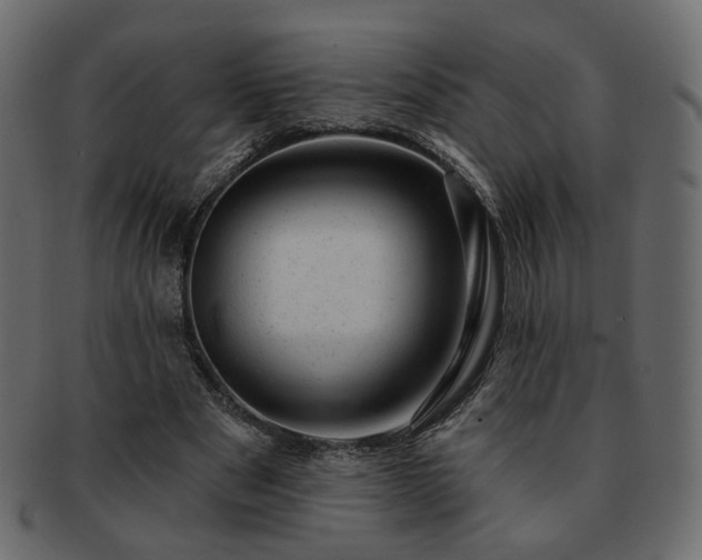 X0000093210489200710031423