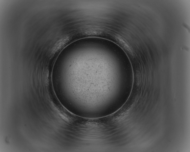 X0000093210490200710031423