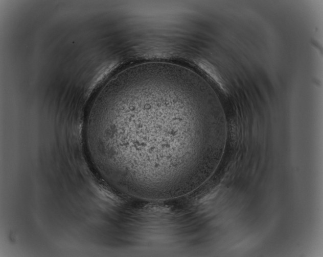 X0000093210491200710031423