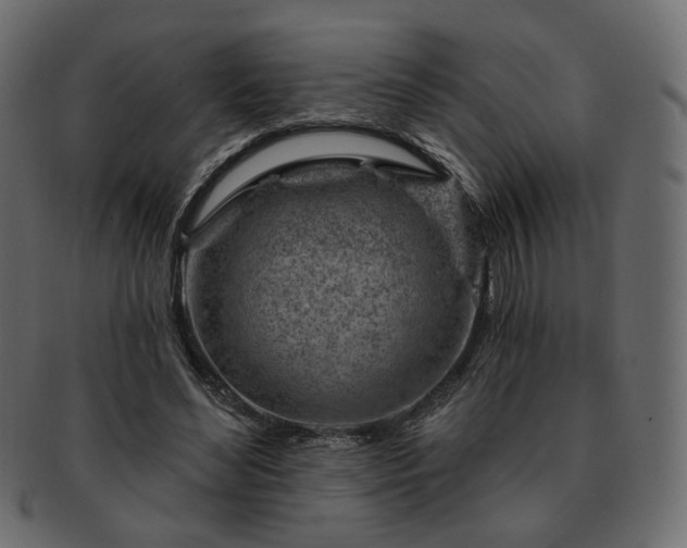 X0000093210492200710031423