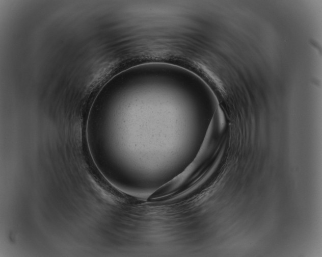 X0000093210493200710031423