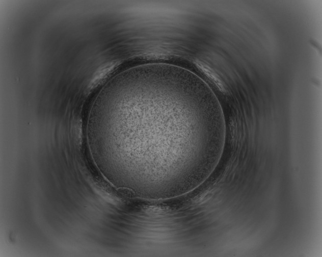 X0000093210494200710031423