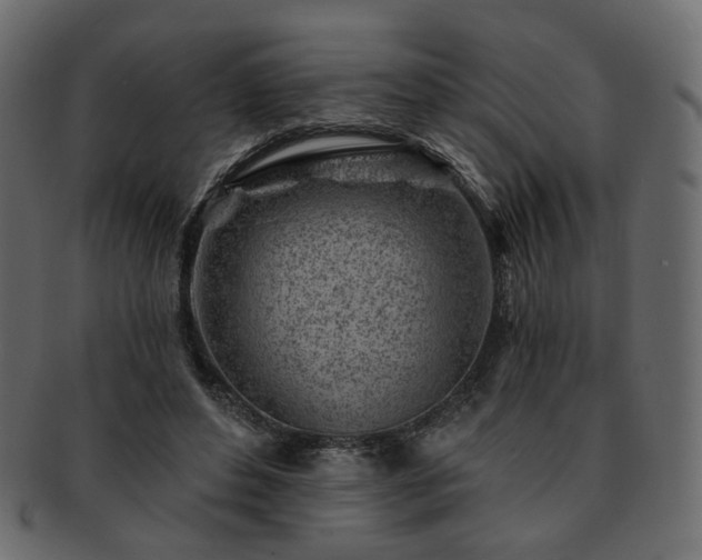 X0000093210496200710031423