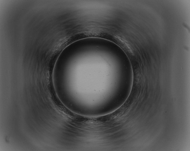 X0000093210498200710031423