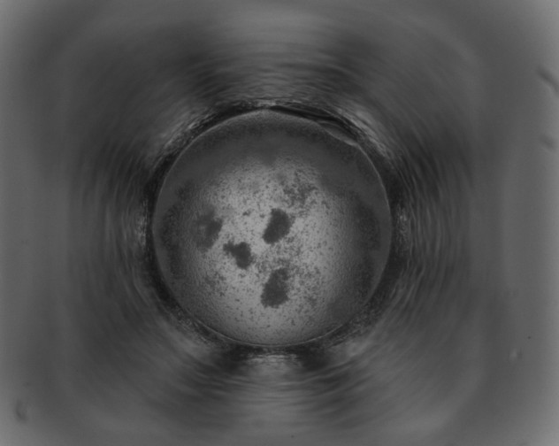 X0000093210499200710031423