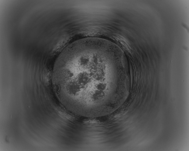 X0000093210503200710031423