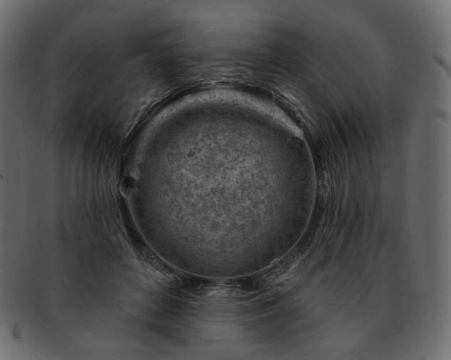 X0000093210504200710031423