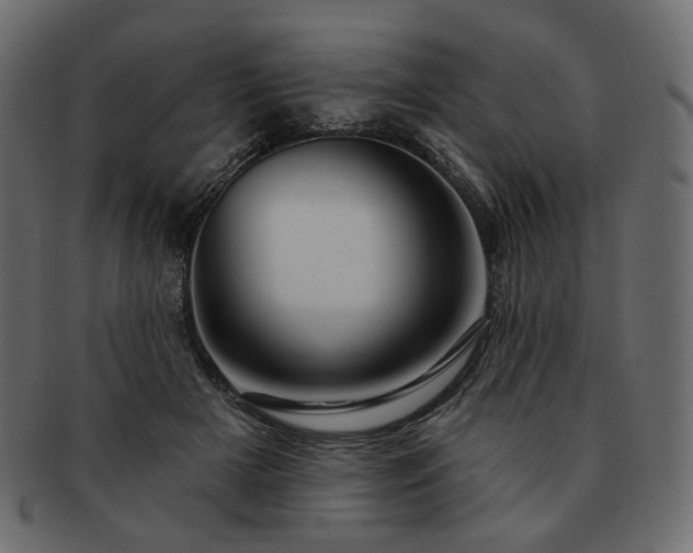 X0000093210505200710031423