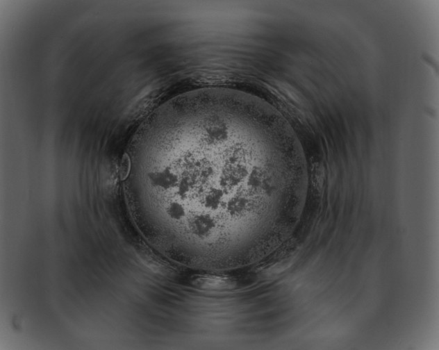 X0000093210507200710031423