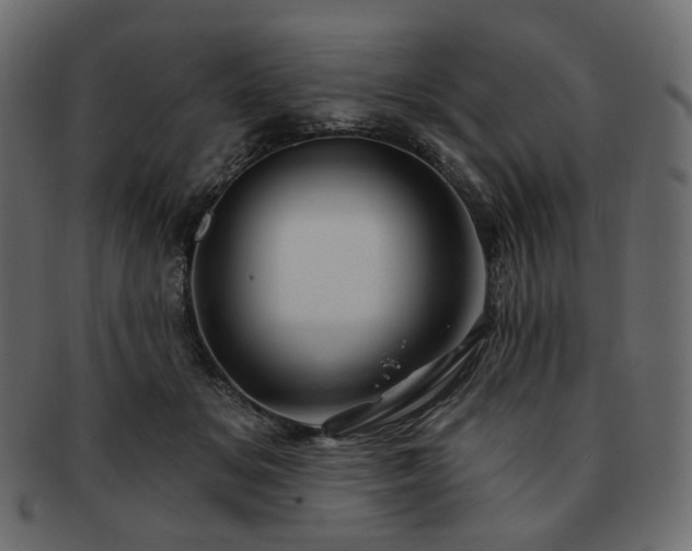 X0000093210509200710031423