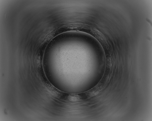 X0000093210510200710031423