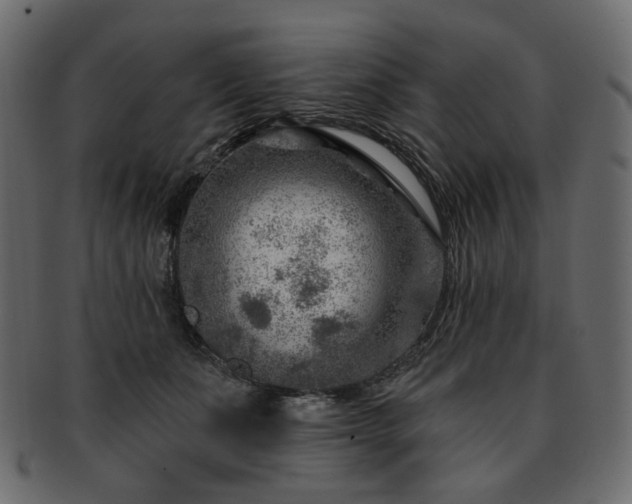 X0000093210511200710031423