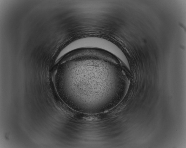 X0000093210512200710031423