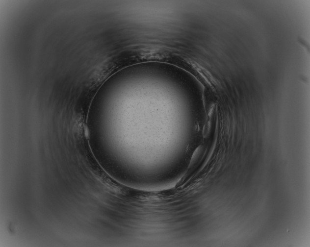 X0000093210513200710031423