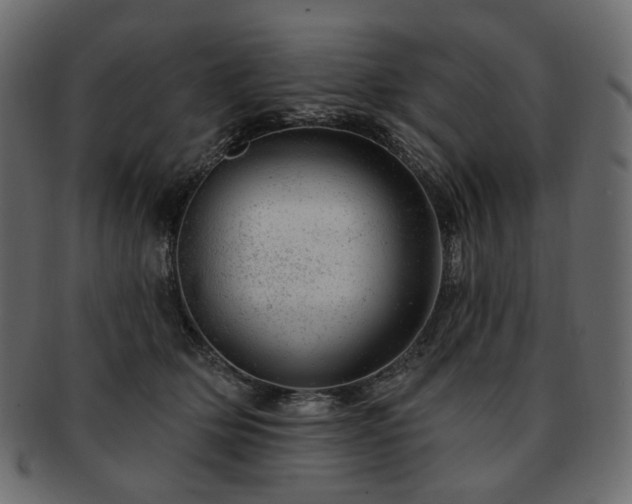 X0000093210514200710031423