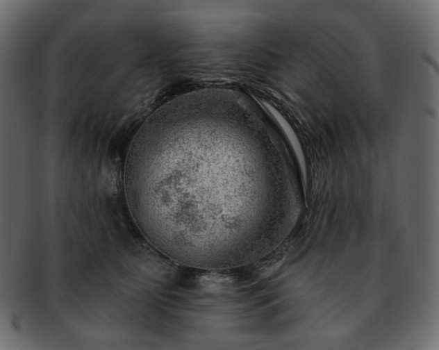 X0000093210515200710031423