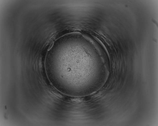 X0000093210516200710031423