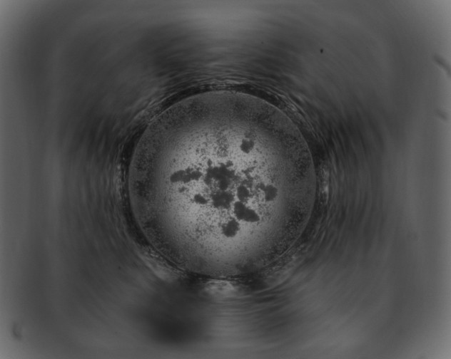 X0000093210519200710031423