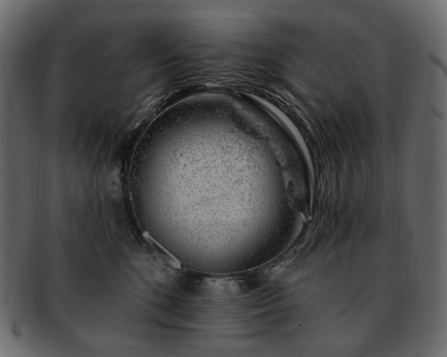 X0000093210520200710031423