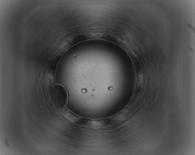 X0000093210522200710031423