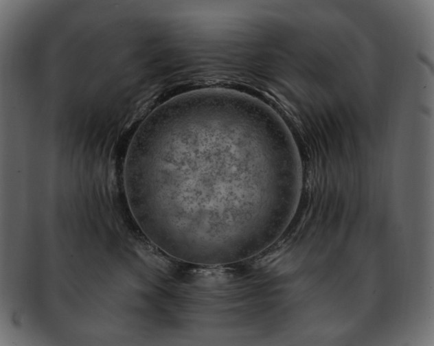 X0000093210524200710031423