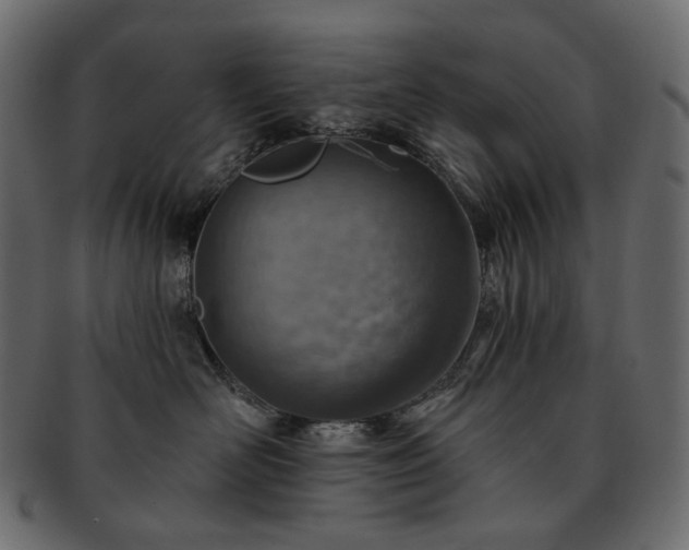 X0000093210526200710031423