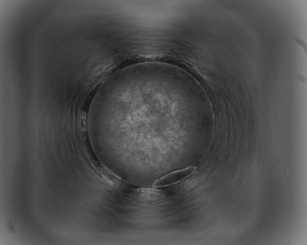 X0000093210528200710031423