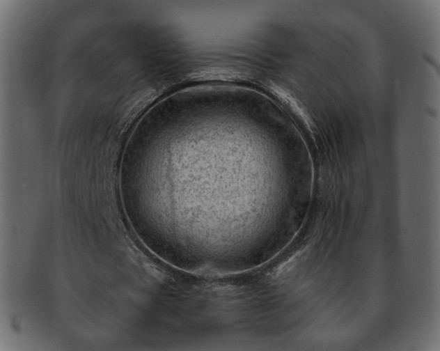 X0000093210529200710031422