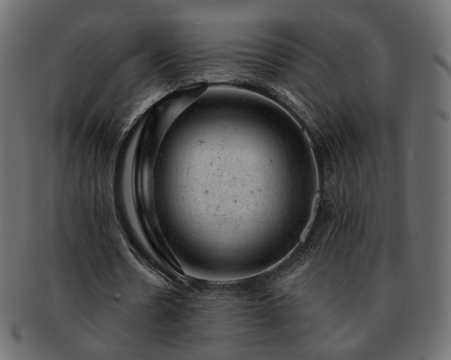 X0000093210530200710031422