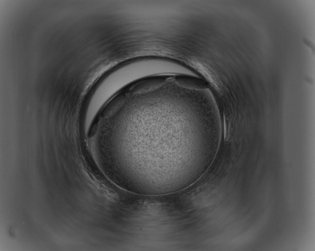 X0000093210531200710031422