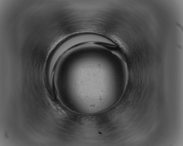 X0000093210532200710031422