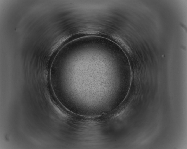 X0000093210533200710031422