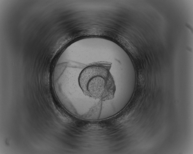 X0000093210534200710031422