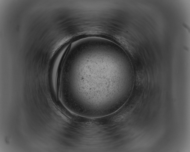 X0000093210535200710031422