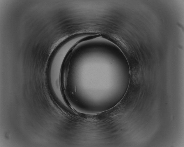 X0000093210536200710031422