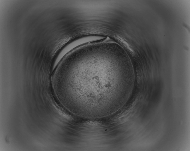 X0000093210537200710031422