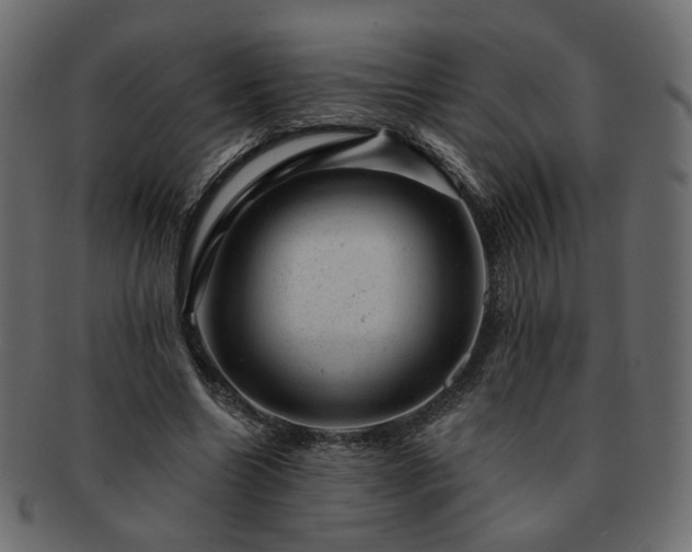 X0000093210538200710031422