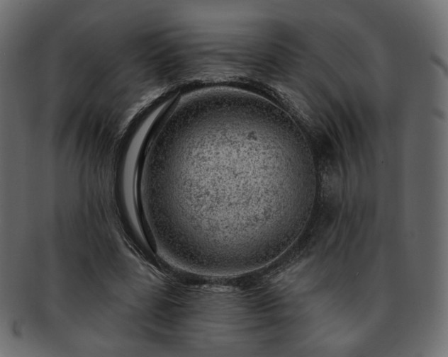 X0000093210539200710031422