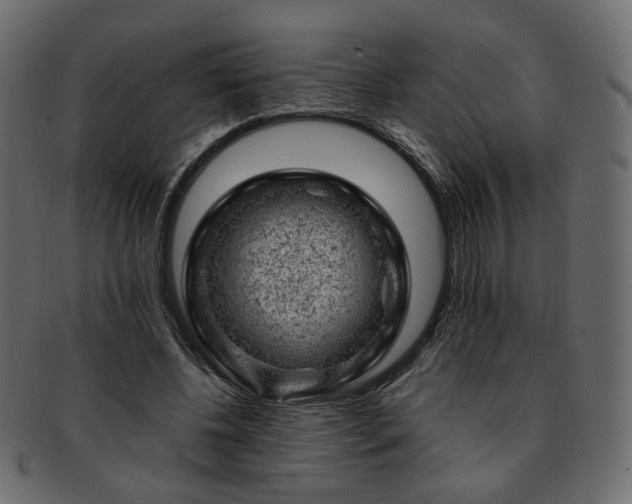 X0000093210540200710031422