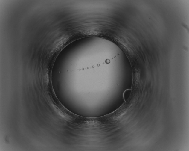 X0000093210541200710031422