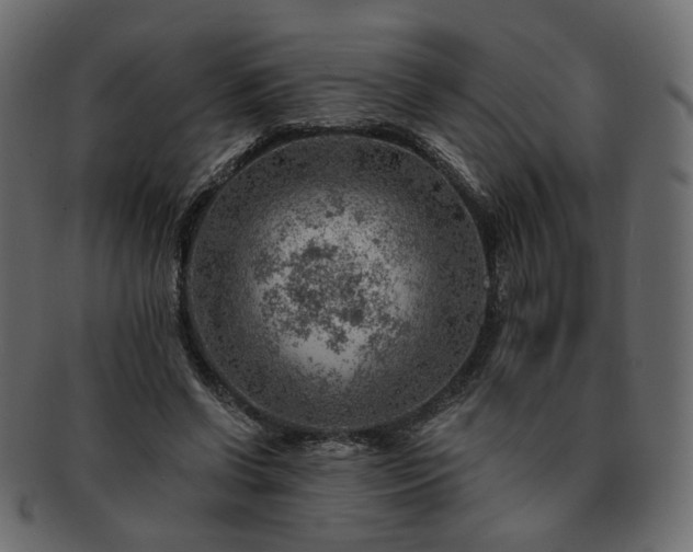 X0000093210542200710031422