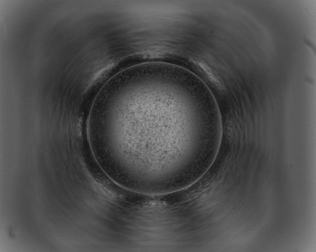 X0000093210543200710031422