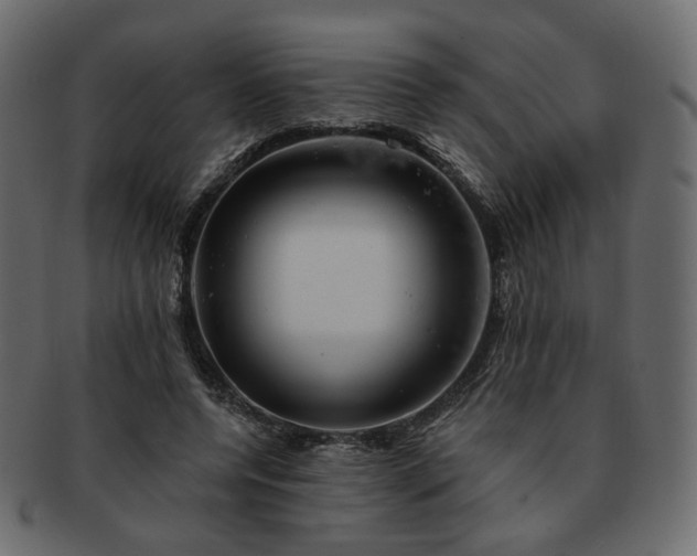 X0000093210544200710031422