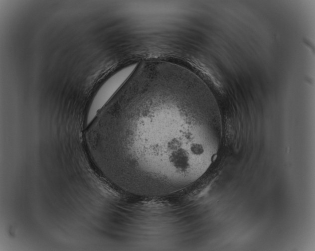 X0000093210545200710031422